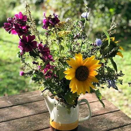 Nordic Style And Light In Rageleje Home 度假居 Vejby