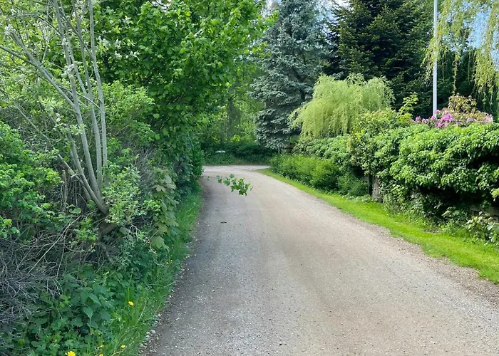 Nordic Style And Light In Rageleje Home Vejby