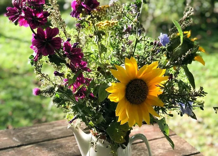 Nordic Style And Light In Rageleje Home Сasa de vacaciones Vejby