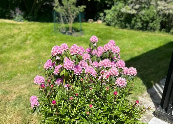 Nordic Style And Light In Rageleje Home Сasa de vacaciones *